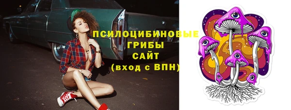 ГАЛЛЮЦИНОГЕННЫЕ ГРИБЫ Аркадак