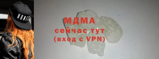 ГАЛЛЮЦИНОГЕННЫЕ ГРИБЫ Аркадак