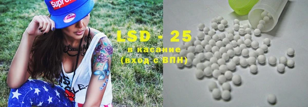 ГАЛЛЮЦИНОГЕННЫЕ ГРИБЫ Аркадак